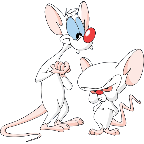 :pinkybrain: pinkybrain